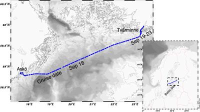 High Emissions of Carbon Dioxide and Methane From the Coastal Baltic Sea at the End of a Summer Heat Wave